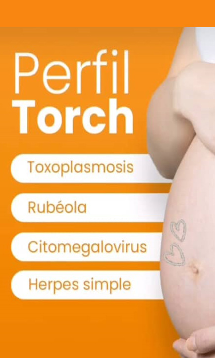 perfiltoch